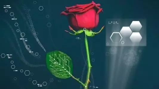 革命性的電子技術——柔性電子 1.webp.jpg 革命性的電子技術——柔性電子 1.webp.jpg